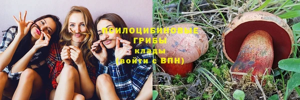 трава Горно-Алтайск