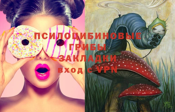 герыч Горняк