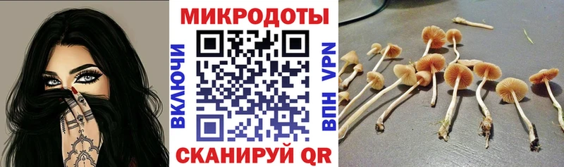 Купить закладки  Зерноград  Галлюциногенные грибы MAGIC MUSHROOMS 